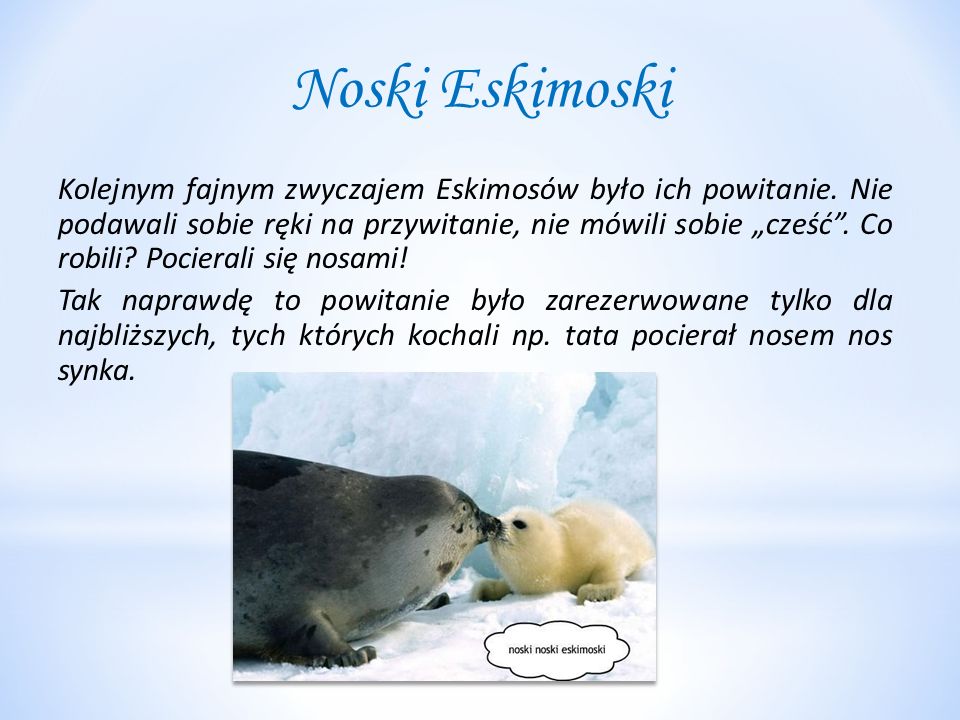 Noski Eskimoski