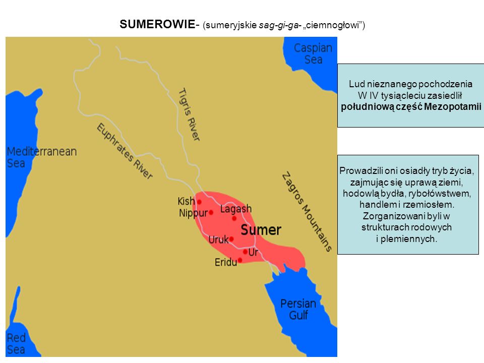 SUMEROWIE- (sumeryjskie sag-gi-ga- „ciemnogłowi )