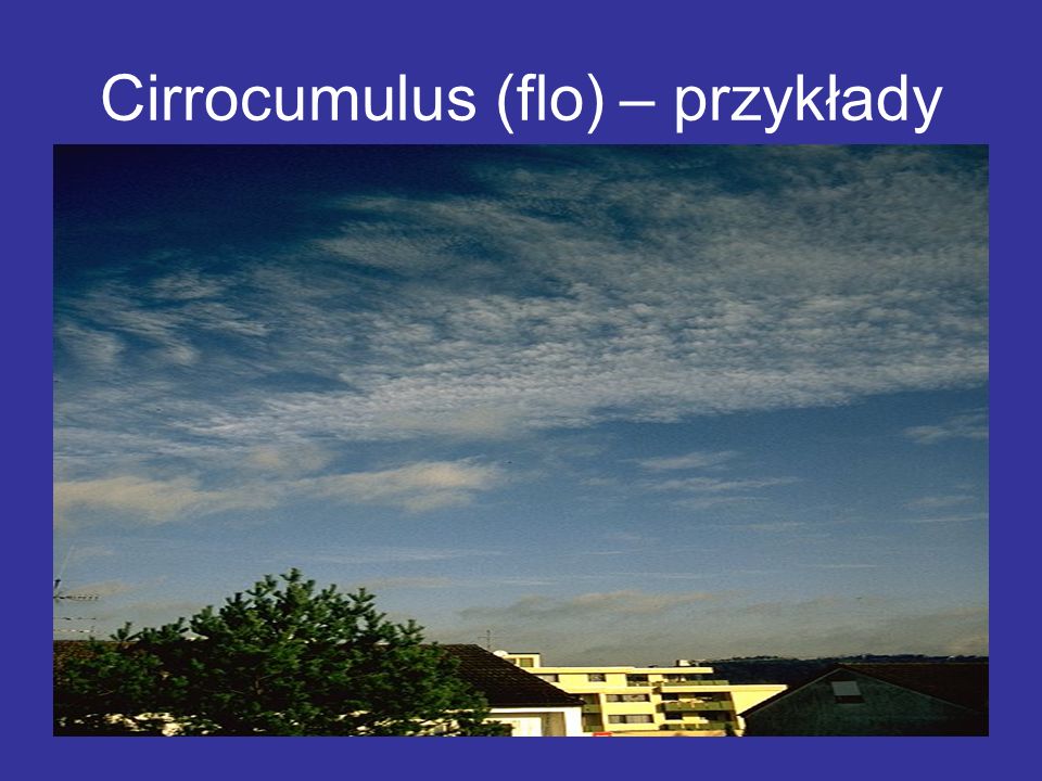 Cirrocumulus (flo) – przykłady