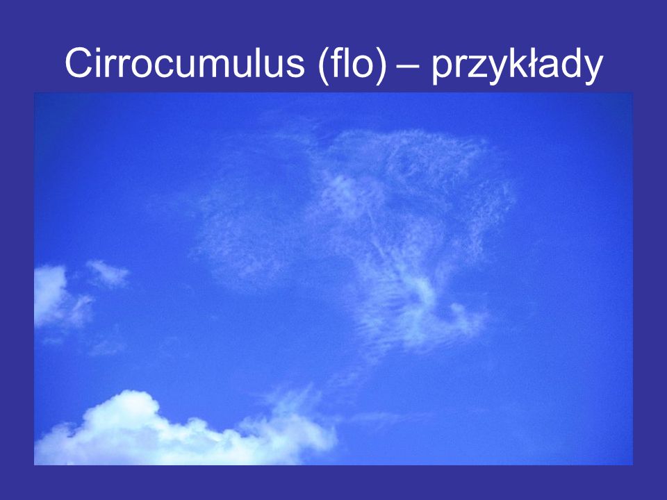 Cirrocumulus (flo) – przykłady
