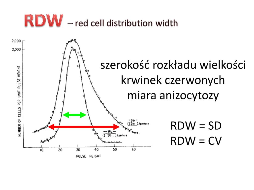 Rdw cv повышены. RDW (Red-Cell distribution width). RDW-CV RDW-SD. RDW — Red Cell distribution. RDW (Red Cell distribution width) характеризует.