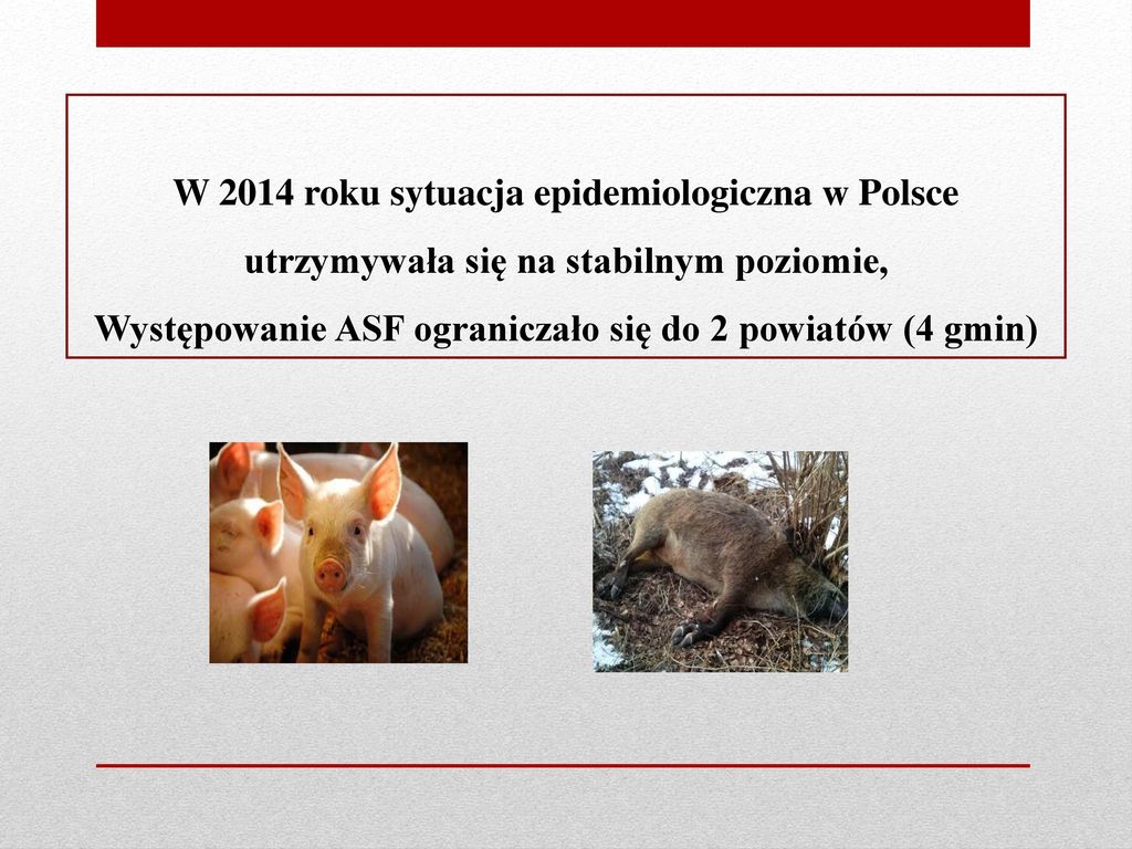 W 2014 roku sytuacja epidemiologiczna w Polsce