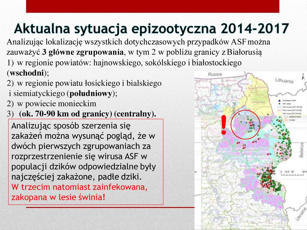Analizując lokalizację wszystkich dotychczasowych przypadków ASF można zauważyć 3 główne zgrupowania, w tym 2 w pobliżu granicy z Białorusią