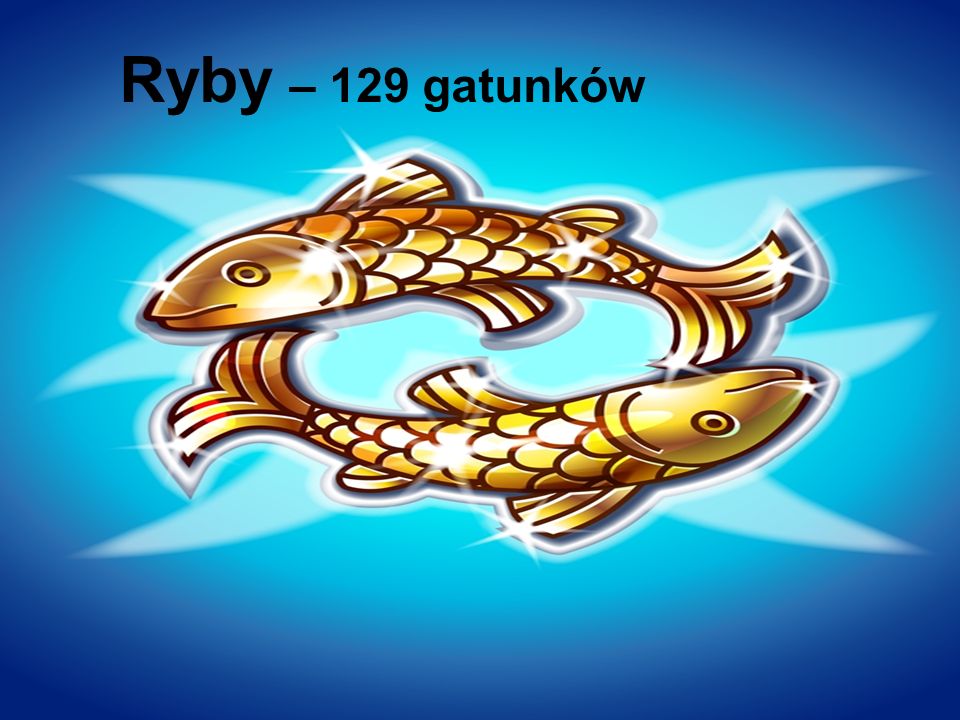 Ryby – 129 gatunków