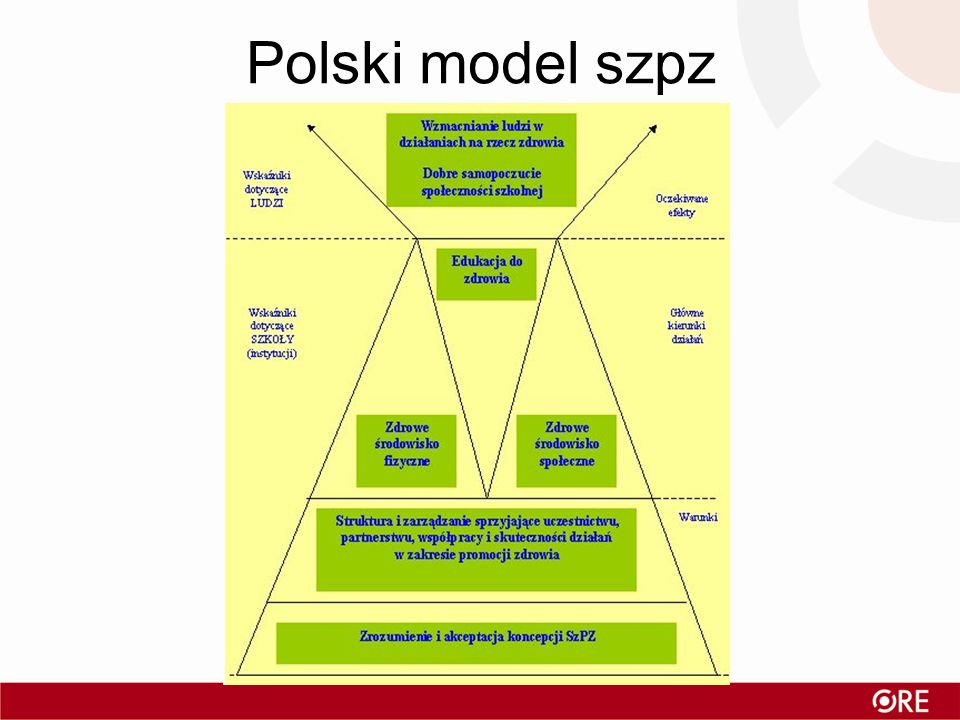 Polski model szpz