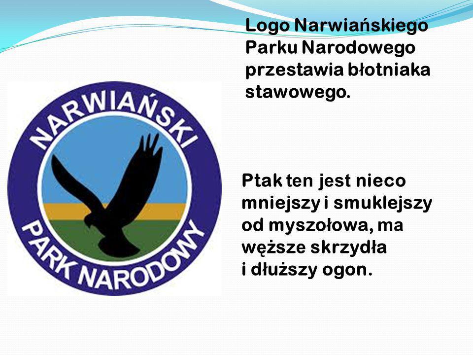 Logo Narwiańskiego Parku Narodowego przestawia błotniaka stawowego.