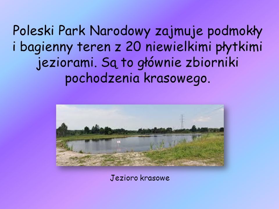 Poleski Park Narodowy zajmuje podmokły i bagienny teren z 20 niewielkimi płytkimi jeziorami. Są to głównie zbiorniki pochodzenia krasowego.