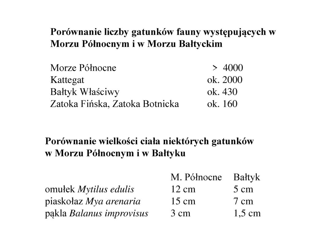 Porównanie liczby gatunków fauny występujących w Morzu Północnym i w Morzu Bałtyckim