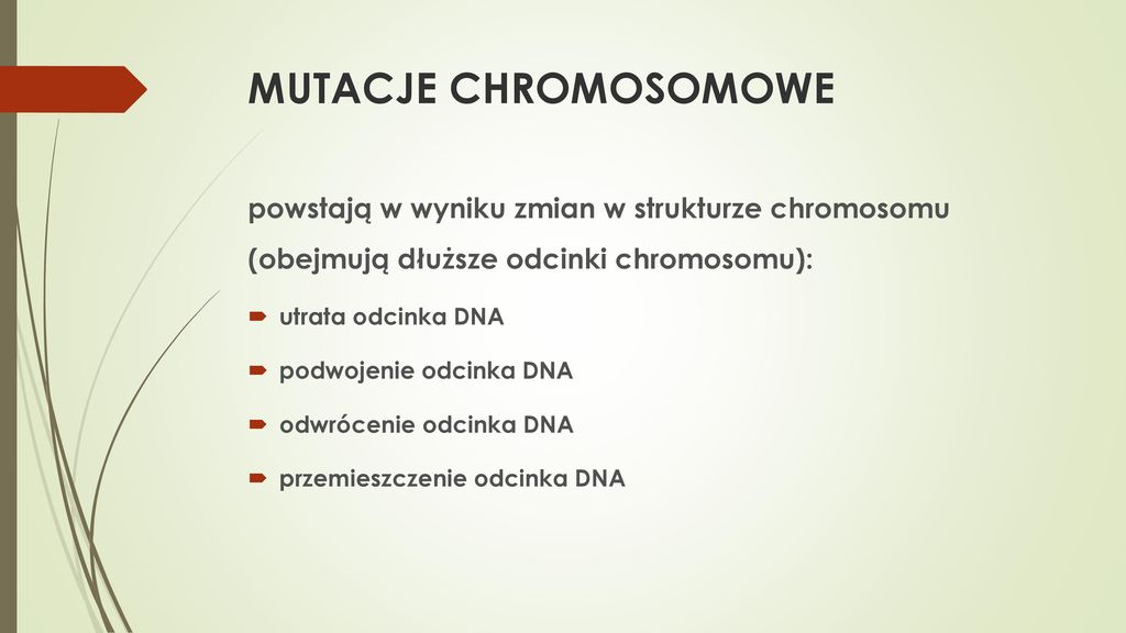 MUTACJE CHROMOSOMOWE powstają w wyniku zmian w strukturze chromosomu (obejmują dłuższe odcinki chromosomu):