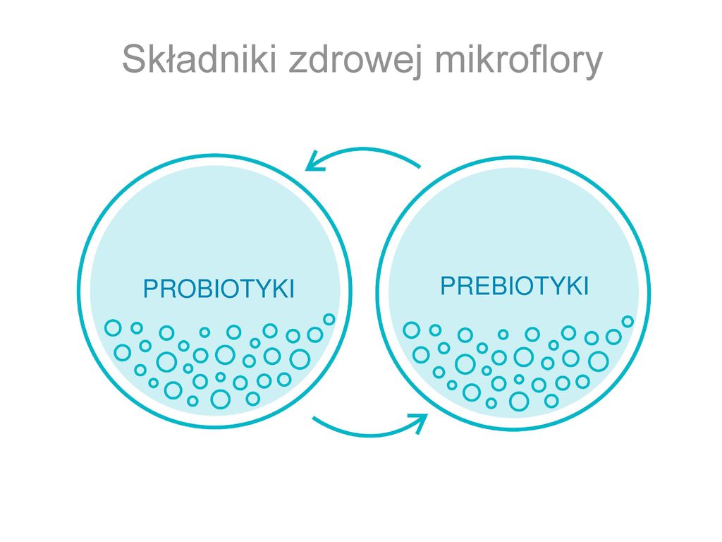 Пробиотики что это такое простыми словами. Биотики и пробиотики. Компоненты здоровой микрофлоры. Пребиотики. Пробиотик и пребиотик.