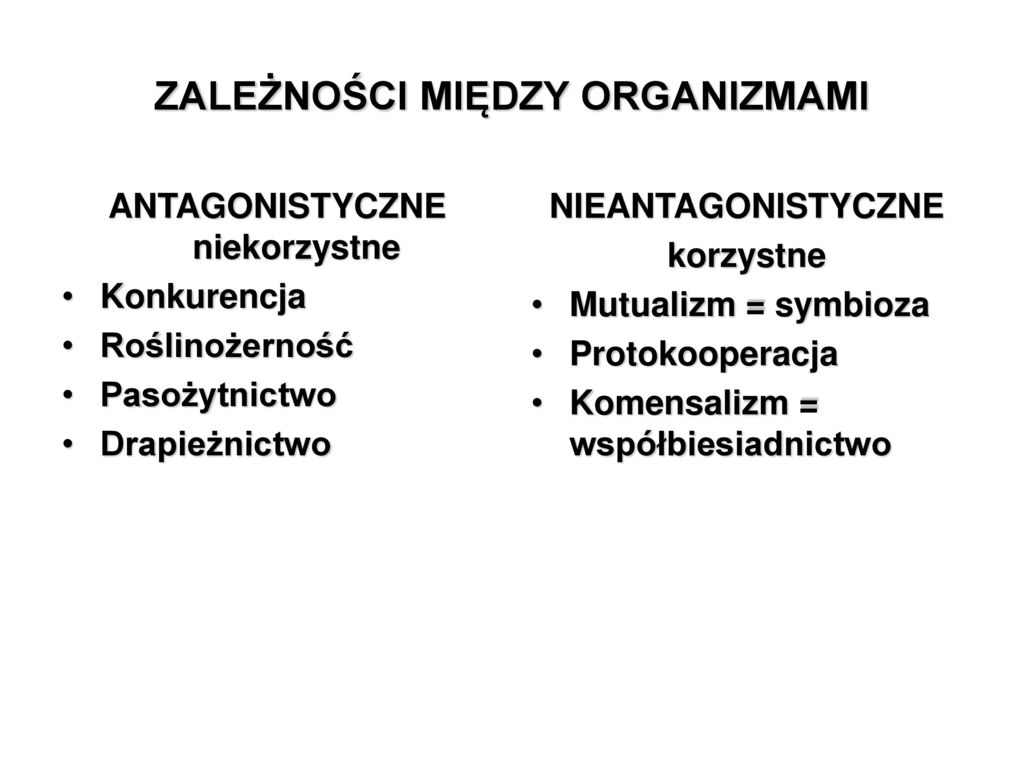 Stosunki MiĘdzy Populacjami Ppt Pobierz 9799