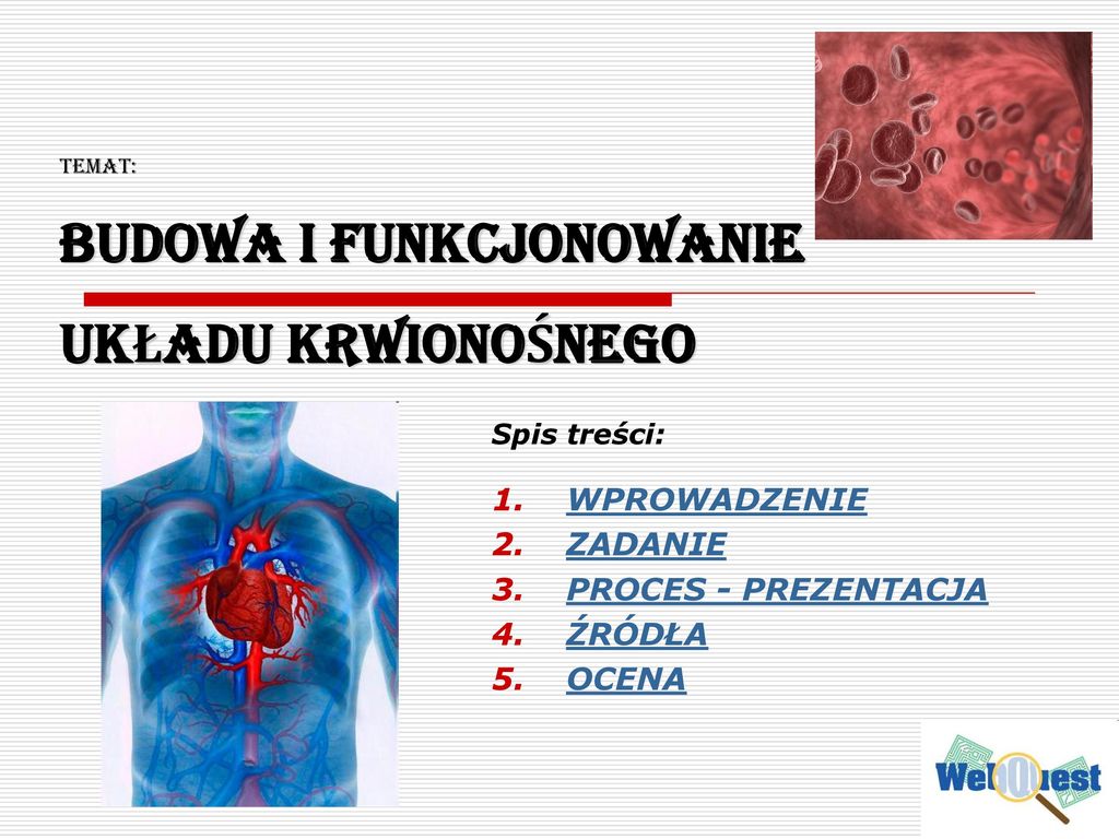 Temat: BUDOWA I FUNKCJONOWANIE UKŁADU KRWIONOŚNEGO - Ppt Pobierz