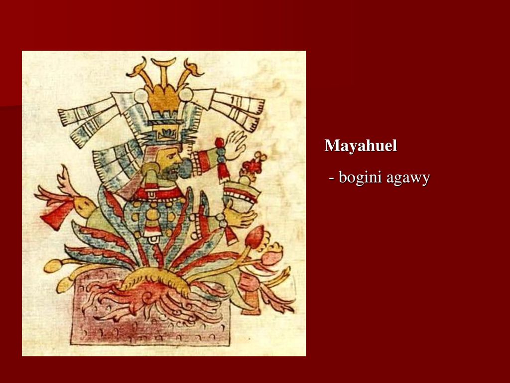 Mayahuel - bogini agawy