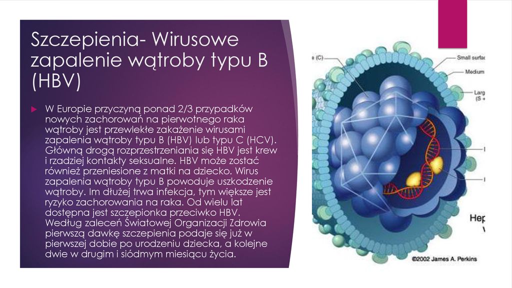 Profilaktyka Nowotworowa - Ppt Pobierz