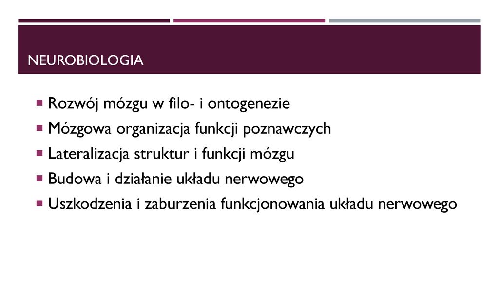 Obszary Badawcze Logopedii - Ppt Pobierz