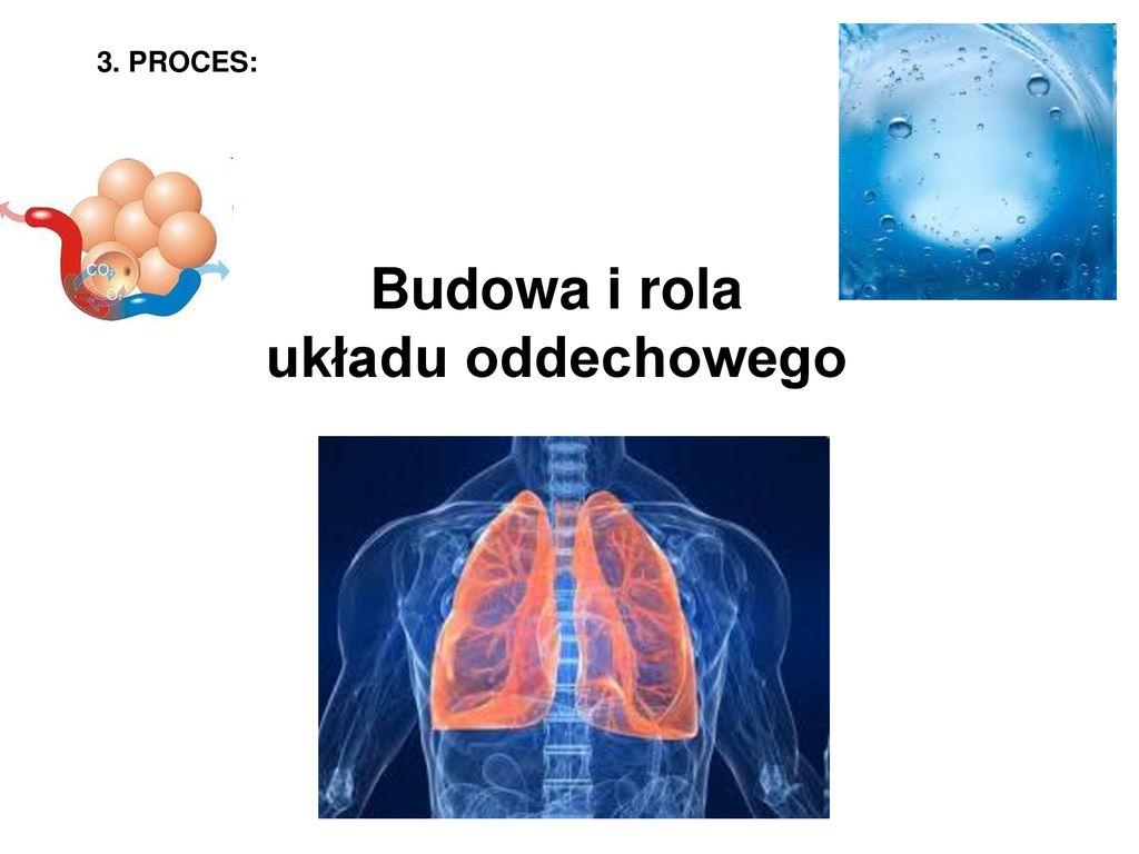 TOPIC: BUDOWA I FUNKCJONOWANIE UKŁADU ODDECHOWEGO - Ppt Pobierz