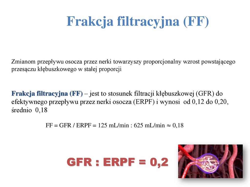 Frakcja filtracyjna (FF)