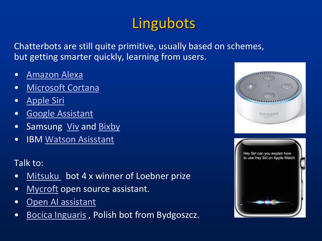 Lingubots Chatterbots are still quite primitive, usually based on schemes, but getting smarter quickly, learning from users.