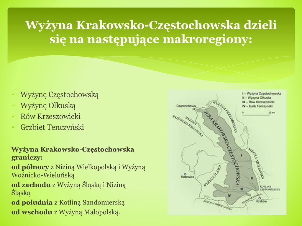 Wyżyna Krakowsko-Częstochowska dzieli się na następujące makroregiony: