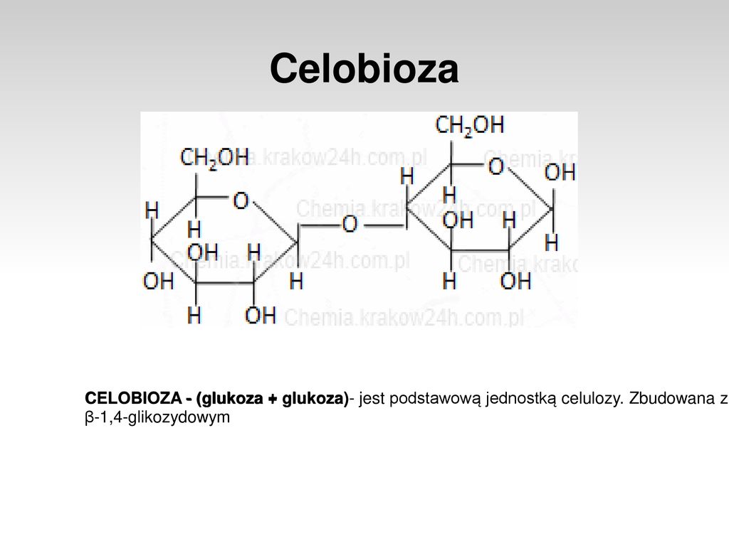 Celobioza CELOBIOZA - (glukoza + glukoza)- jest podstawową jednostką celulozy. Zbudowana z dwóch reszt glukozy β-D-glukozy połączonych wiązaniem.