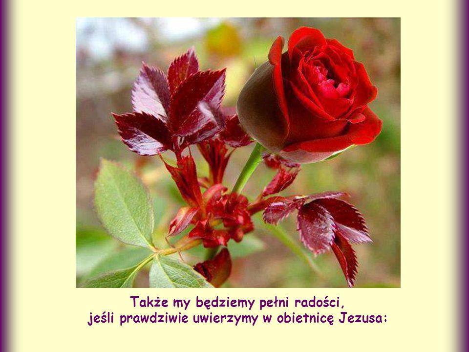 Także my będziemy pełni radości, jeśli prawdziwie uwierzymy w obietnicę Jezusa: