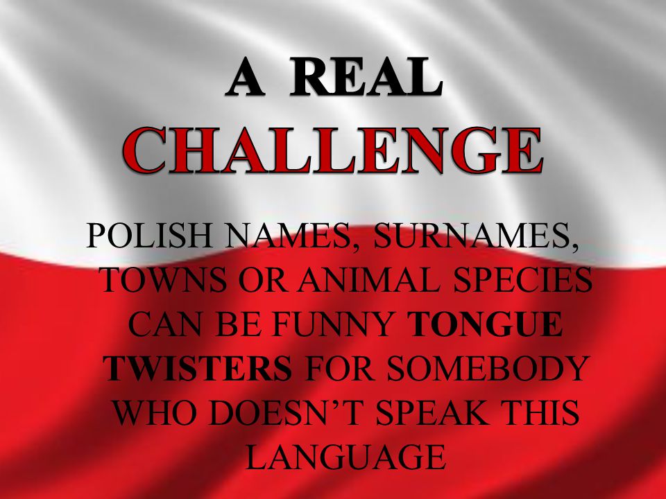 A REAL CHALLENGE POLISH NAMES, SURNAMES, TOWNS OR ANIMAL SPECIES CAN BE FUNNY TONGUE TWISTERS FOR SOMEBODY WHO DOESN’T SPEAK THIS LANGUAGE.