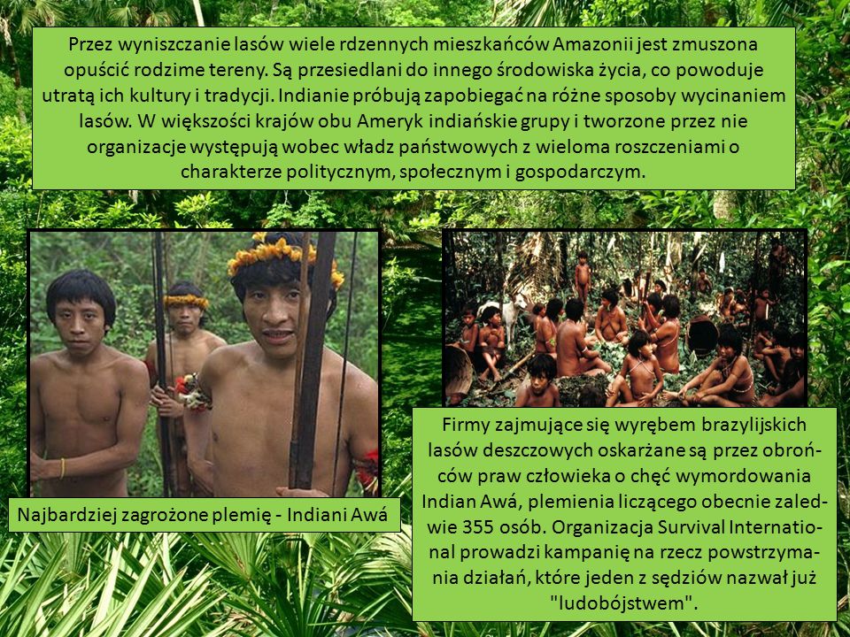 Przez wyniszczanie lasów wiele rdzennych mieszkańców Amazonii jest zmuszona opuścić rodzime tereny. Są przesiedlani do innego środowiska życia, co powoduje utratą ich kultury i tradycji. Indianie próbują zapobiegać na różne sposoby wycinaniem lasów. W większości krajów obu Ameryk indiańskie grupy i tworzone przez nie organizacje występują wobec władz państwowych z wieloma roszczeniami o charakterze politycznym, społecznym i gospodarczym.