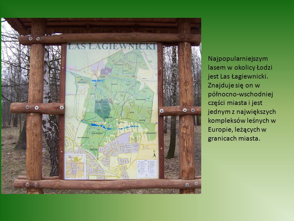 Najpopularniejszym lasem w okolicy Łodzi jest Las Łagiewnicki.
