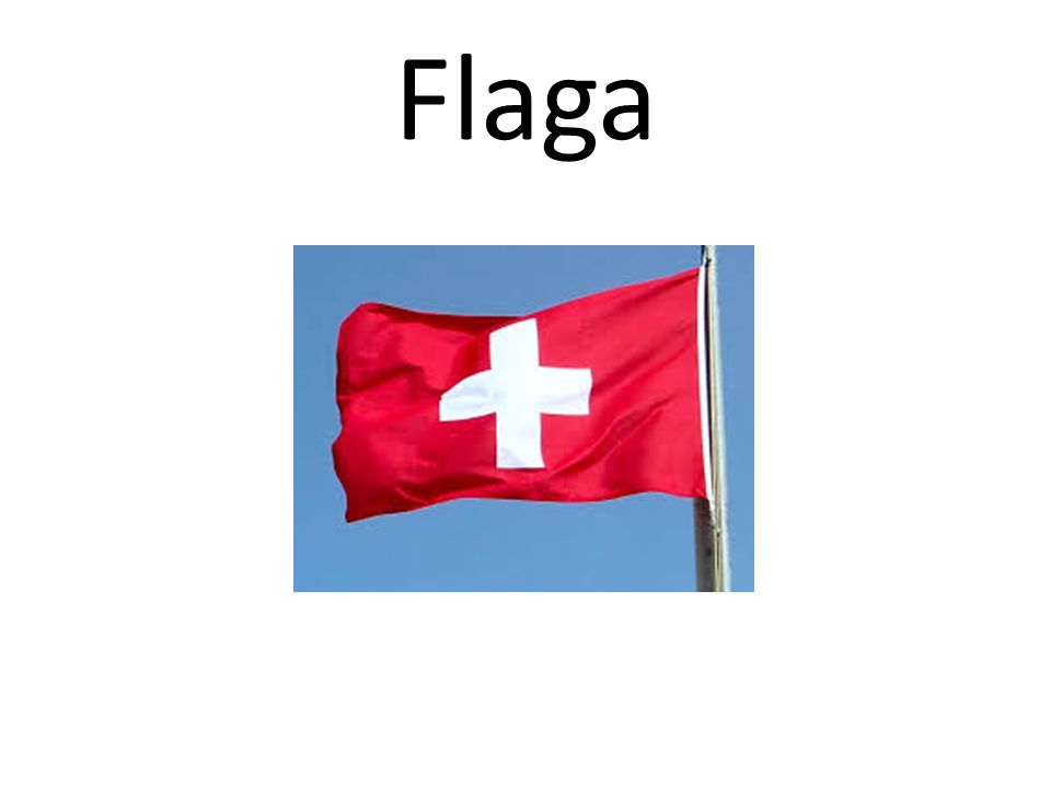 Flaga