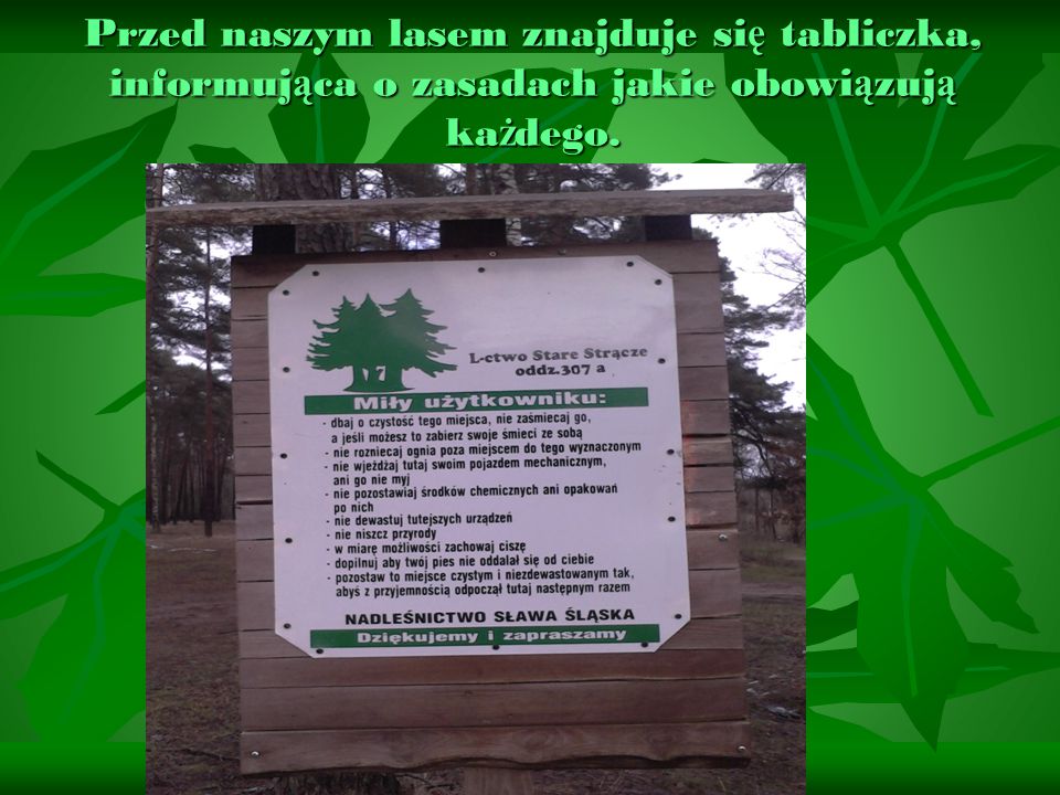 Przed naszym lasem znajduje się tabliczka, informująca o zasadach jakie obowiązują każdego.