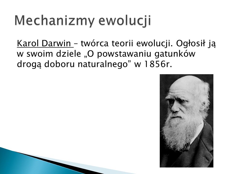 Mechanizmy ewolucji Karol Darwin – twórca teorii ewolucji.