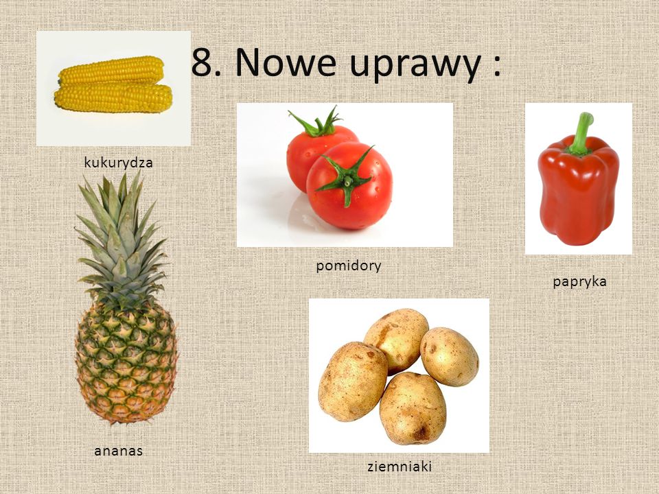 8. Nowe uprawy : kukurydza pomidory papryka ananas ziemniaki