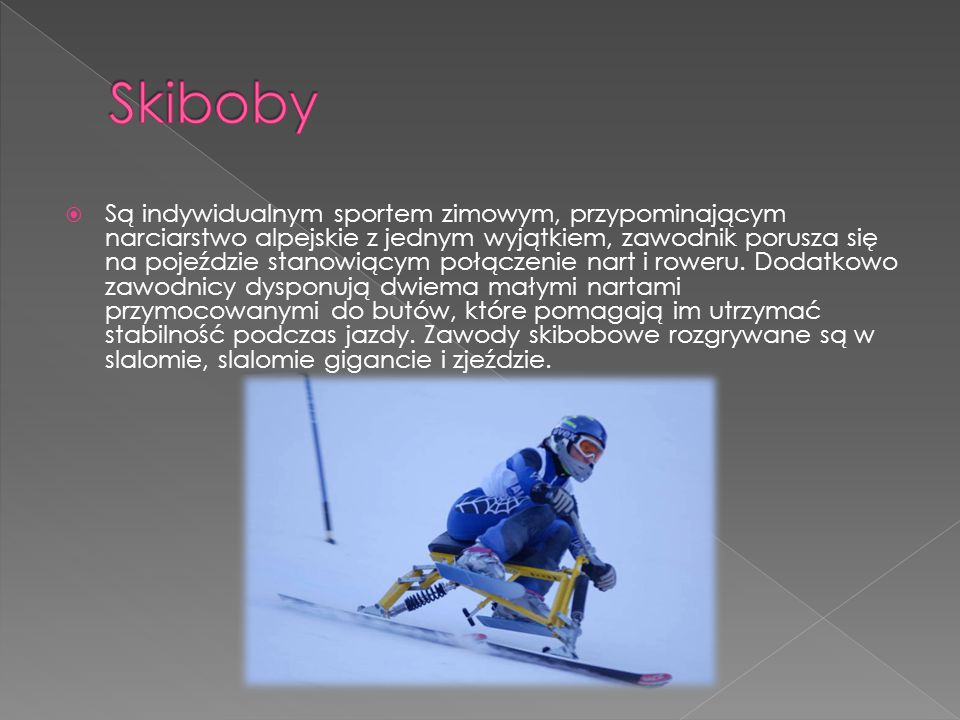 Skiboby