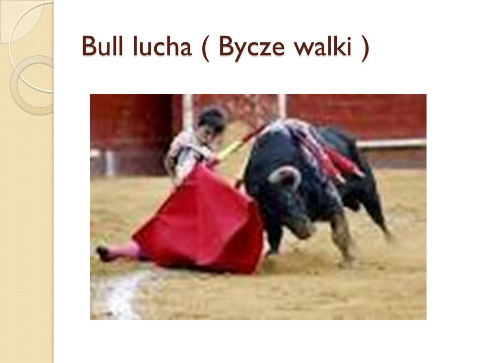 Bull lucha ( Bycze walki )