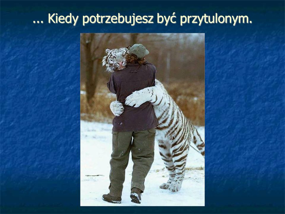 ... Kiedy potrzebujesz być przytulonym.