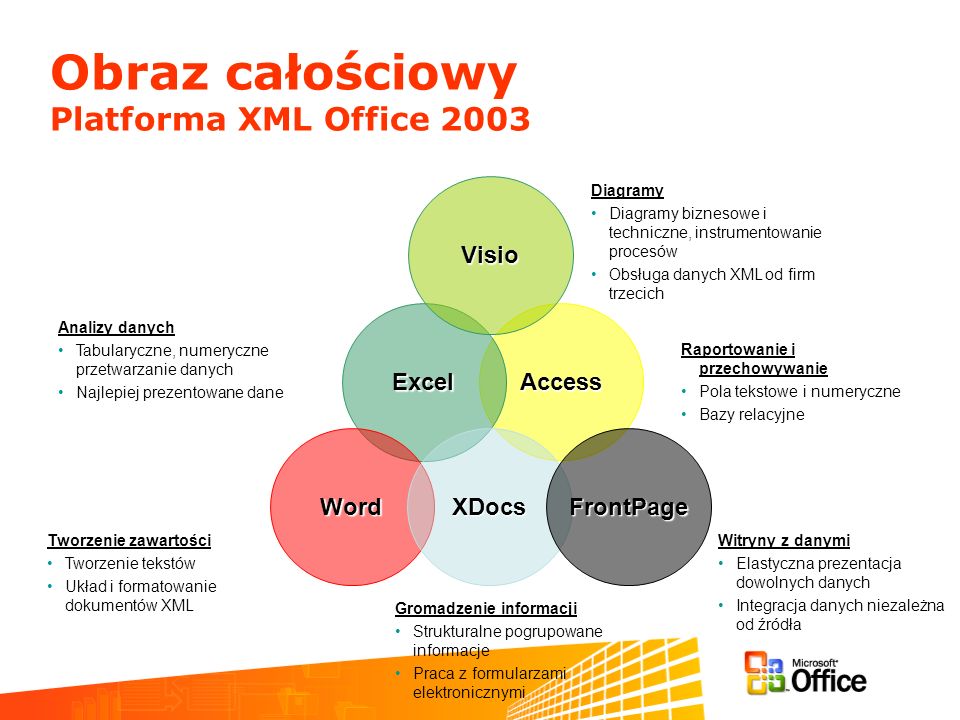 Obraz całościowy Platforma XML Office 2003