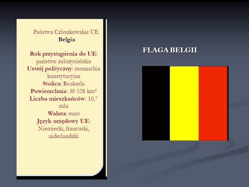 FLAGA BELGII Państwa Członkowskie UE Belgia