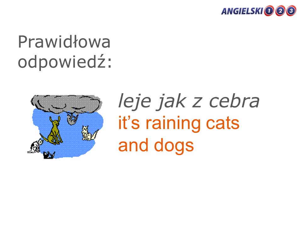 it’s raining cats and dogs