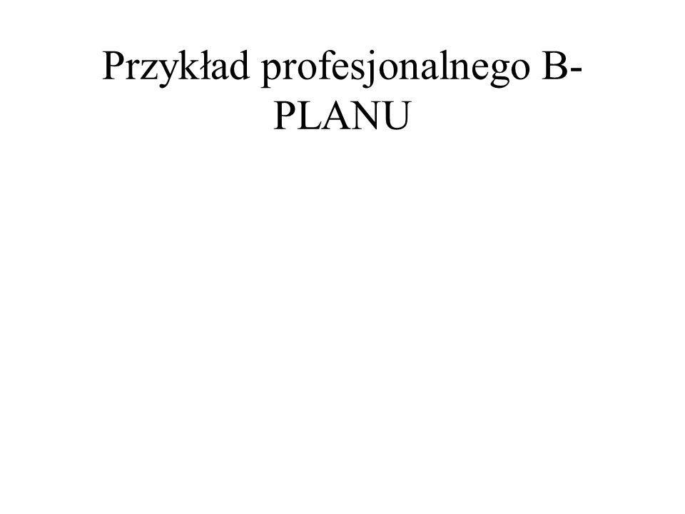Przykład profesjonalnego B-PLANU