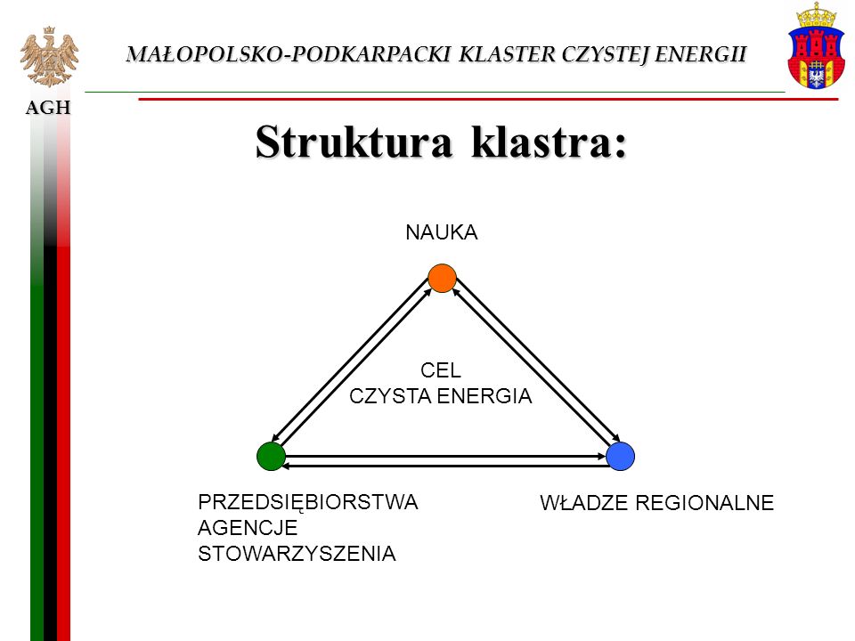 Struktura klastra: MAŁOPOLSKO-PODKARPACKI KLASTER CZYSTEJ ENERGII