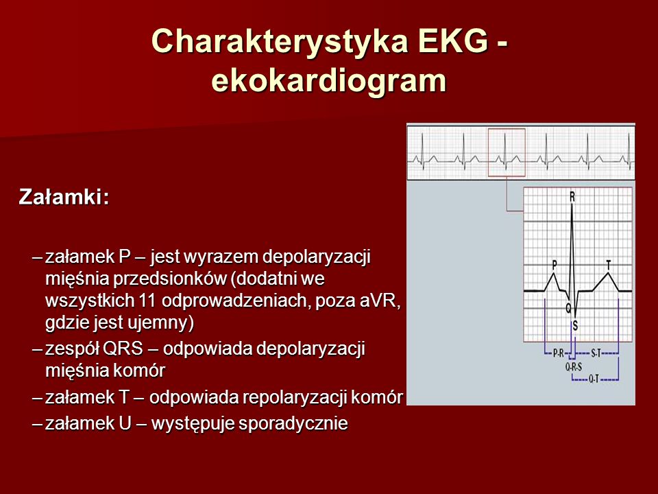 Charakterystyka EKG - ekokardiogram