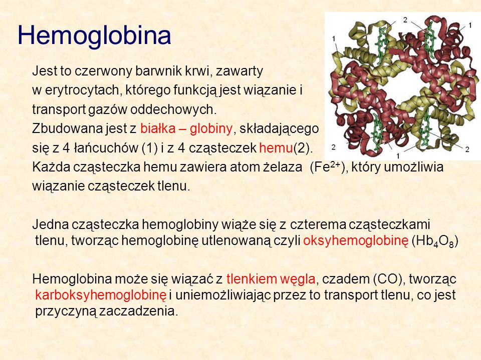 Hemoglobina Jest to czerwony barwnik krwi, zawarty