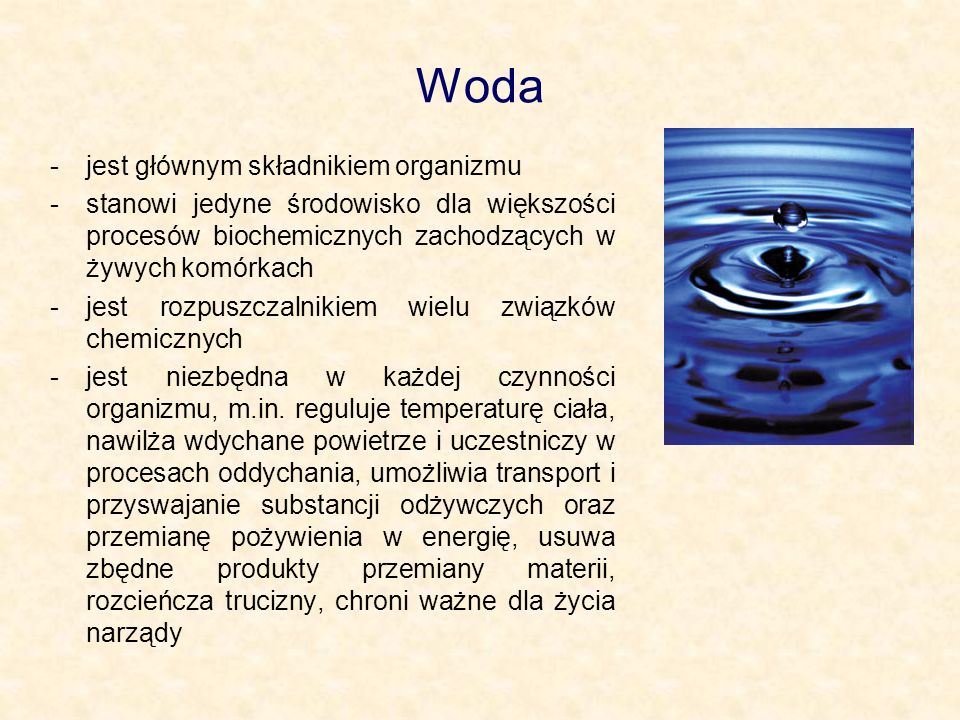 Woda jest głównym składnikiem organizmu