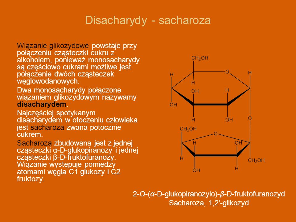 Disacharydy - sacharoza