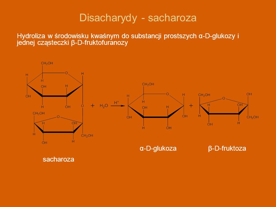 Disacharydy - sacharoza