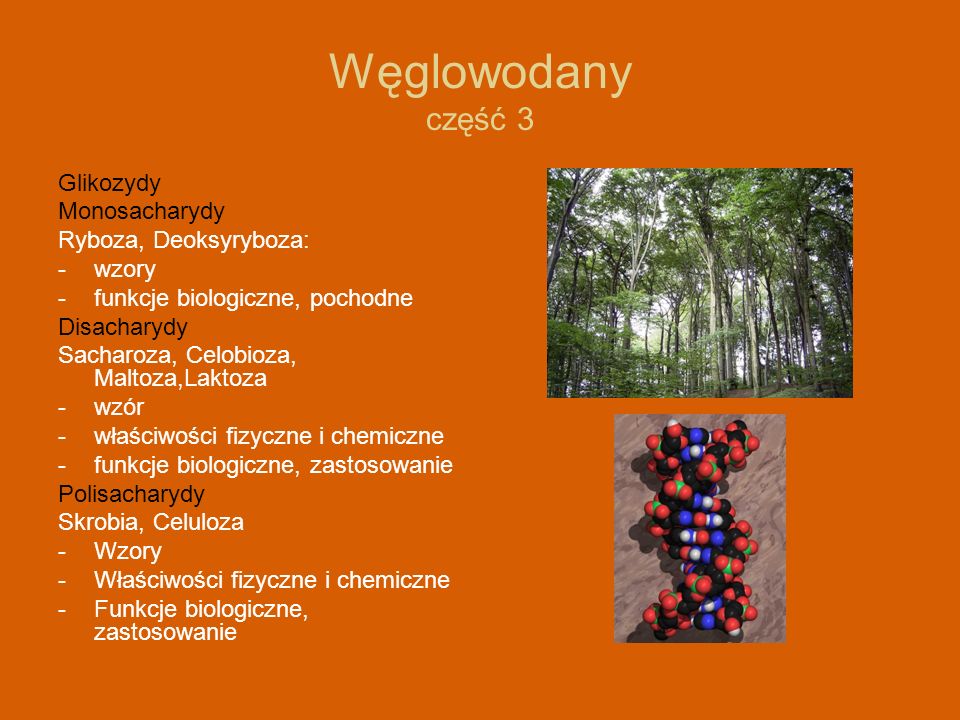 Węglowodany część 3 Glikozydy Monosacharydy Ryboza, Deoksyryboza: