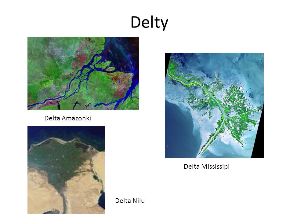 Delty Delta Amazonki Delta Mississipi Delta Nilu