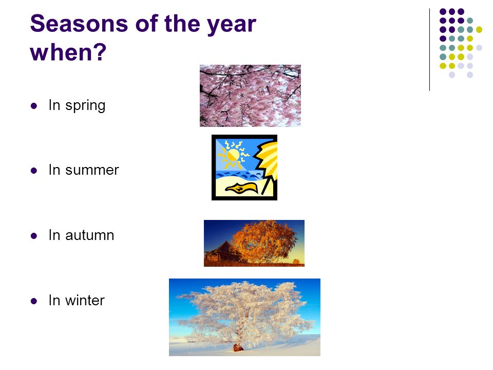 Seasons of the year when