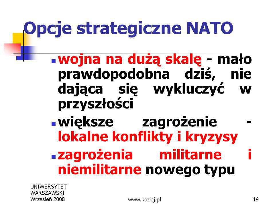 Opcje strategiczne NATO