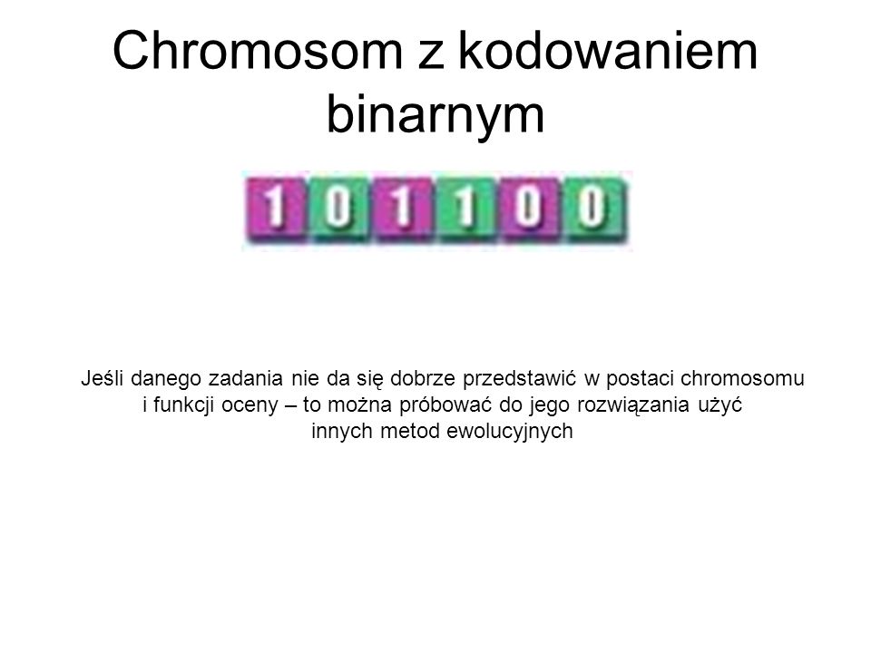 Chromosom z kodowaniem binarnym